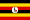 Uganda Sex Video Chat - Gayies