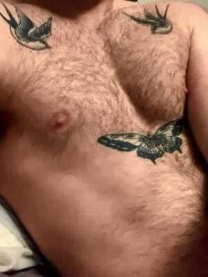Swallows butterfly - boyfriendtv.com