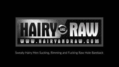HAIRYANDRAW Black Gay Ray Diesel Barebacks Matt Stevens - nvdvid.com