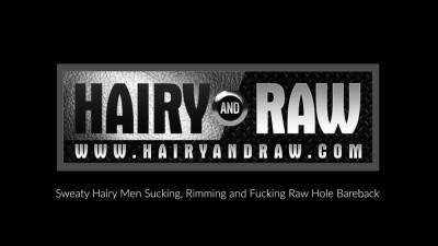HAIRYANDRAW Black Gay Ray Diesel Barebacks Matt Stevens - drtuber.com
