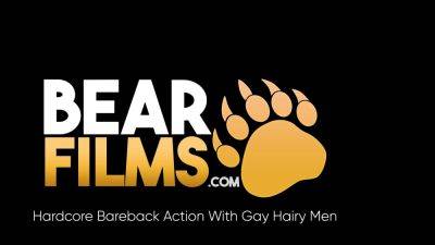 BEARFILMS Gay Bears Andrew Mason And Tom Stark Bareback - drtuber.com